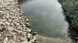 Un petit étang avec une fontaine, entouré d’une berge rocheuse et bordé, au loin, par une rangée de bâtiments.