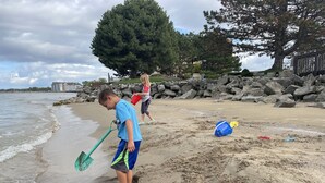 Une scène de plage avec un enfant qui creuse dans le sable, un autre enfant en arrière-plan et un grand arbre.
