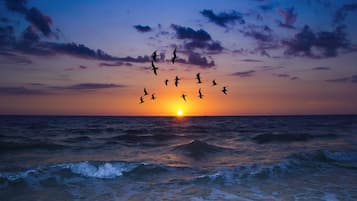 公寓客房 (2 Bedrooms) | 住宿設施服務