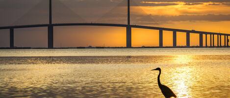 Condo (2 Bedrooms) | Property amenity