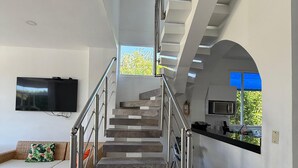 Televisión 