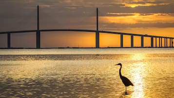 公寓客房 (2 Bedrooms) | 住宿設施服務