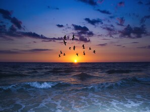 コンドミニアム (2 Bedrooms) | 施設内の設備