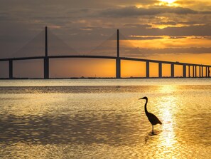 Condo (2 Bedrooms) | Property amenity