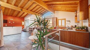 Télévision, cheminée, table de tennis de table