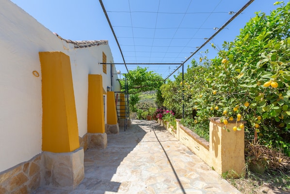 Un estrecho sendero de piedra flanqueado por paredes de color amarillo y un jardín con árboles cítricos.