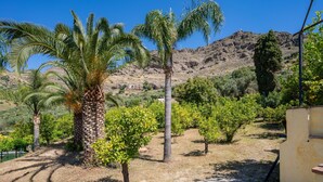 Un jardín ajardinado con palmeras y arbustos, cielo despejado y un paisaje montañoso al fondo.