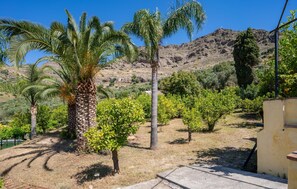 A landscaped garden with palm trees and shrubs, a clear sky, and a hilly background. - Holiday Home Casa Altavista with Pool, Wi-Fi, Air Conditioning, Terrace & Garden (Alora)