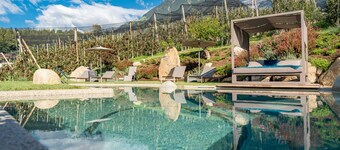 Chalet "Apfel Feld-Hof" with Whirlpool, Saltwater Pool and Terrace