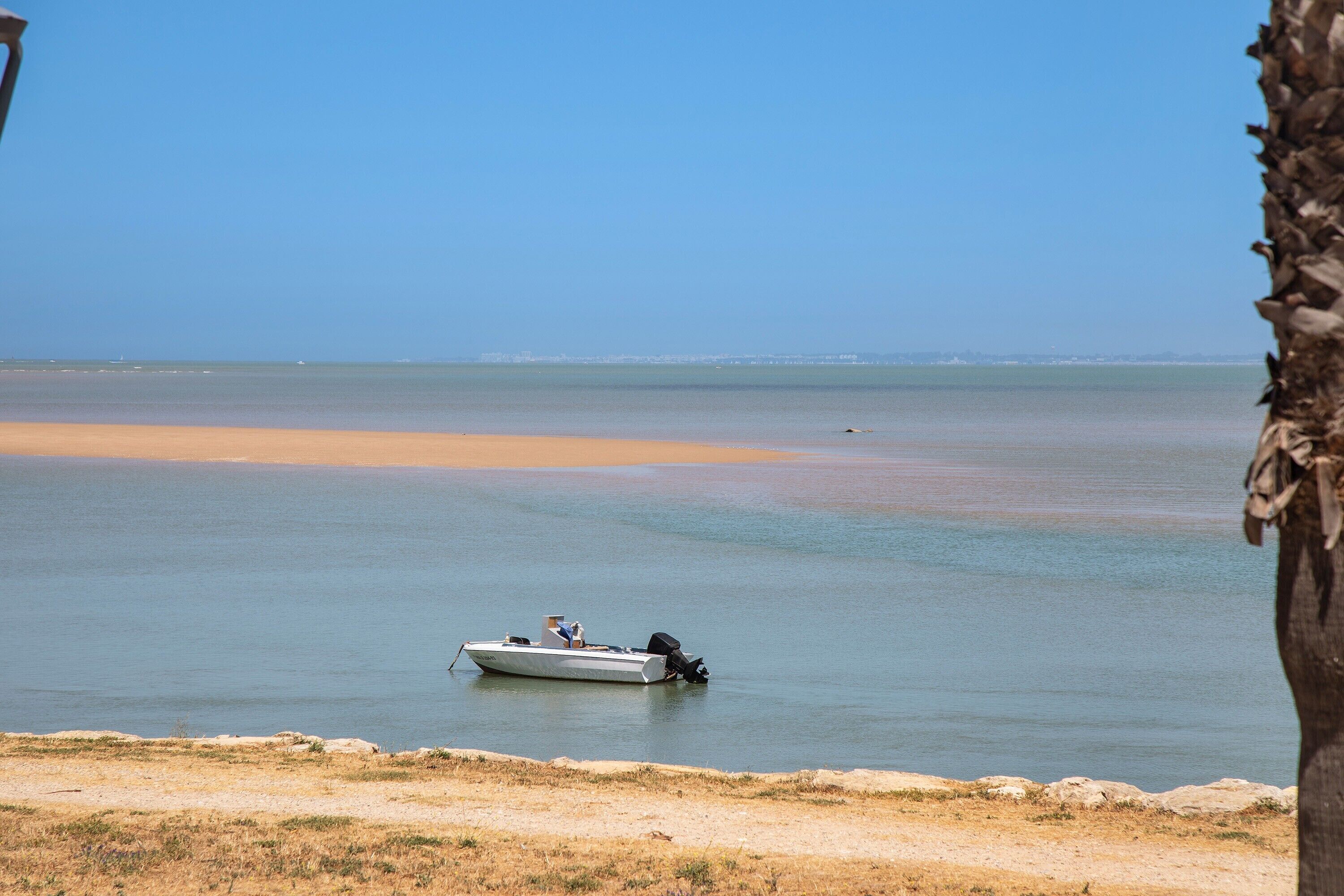 Vlak bij het strand