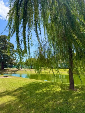 A park with a pond, trees, and a clear sky. - $150 activities - E-gift card when you book - 1st Floor with Screened in Porch | KC5D (Myrtle Beach)