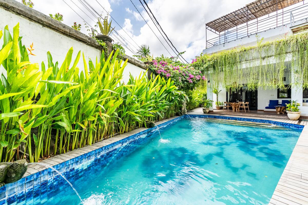 Una piscina con borde de azulejos, rodeada de exuberante vegetación y una pared blanca.
