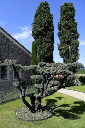 A well-maintained garden with a stone building, tall trees, and a neatly trimmed bonsai.