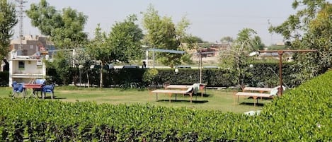 Tuin