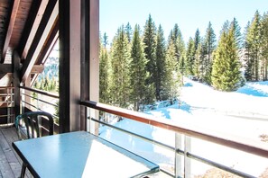 Property grounds - Cosy, modern 2-bed with fireplace & beautiful views (Flaine)