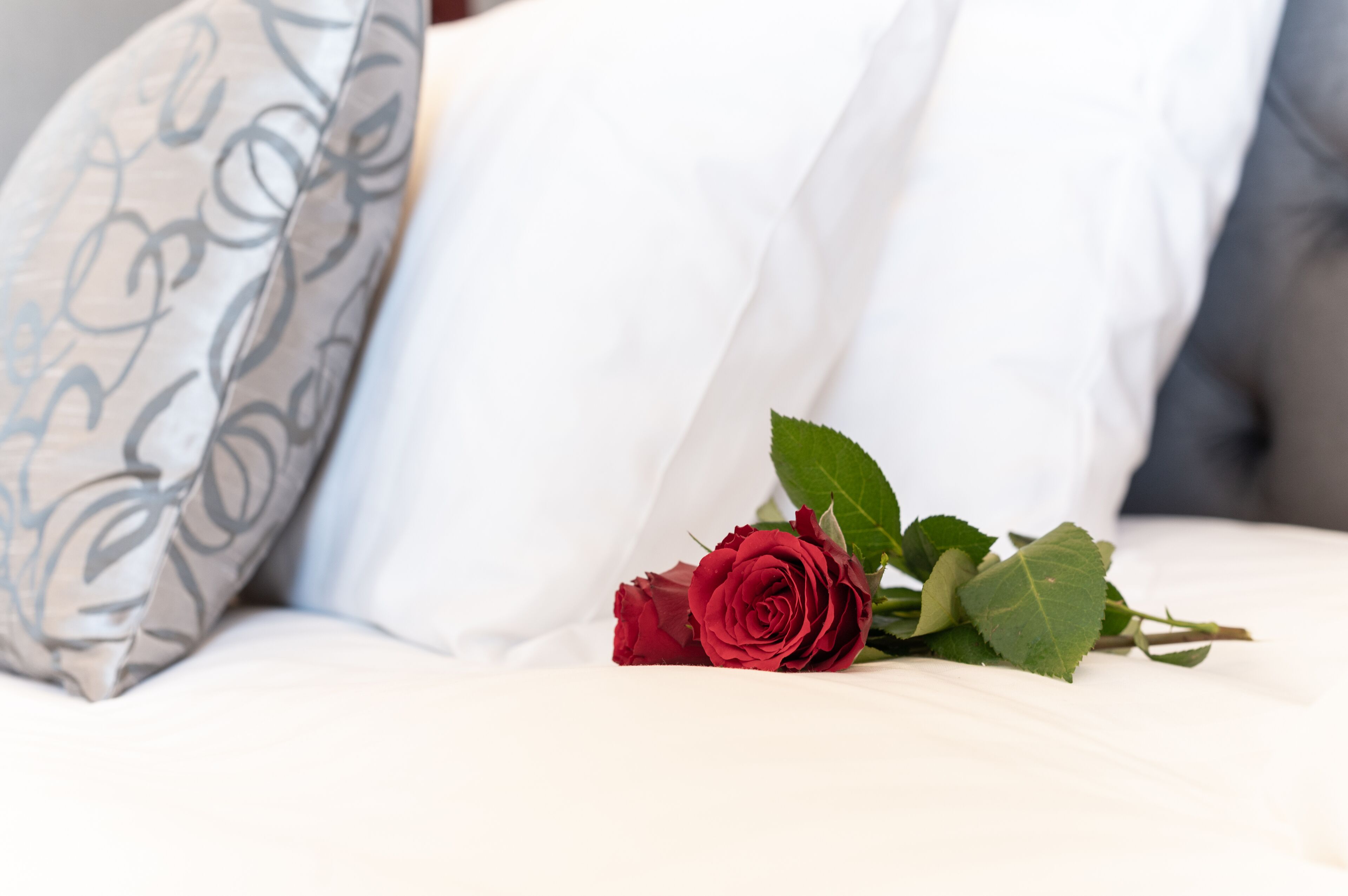 Un lit avec une literie blanche et une seule rose rouge aux feuilles vertes.