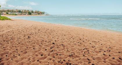 DIRECT SANDY BEACHFRONT just steps away fr the patio.Ground Fl.condo 1bed2ba2pkg