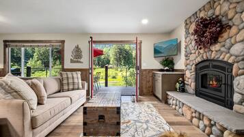 Smart TV, chimenea, reproductor de DVD y libros