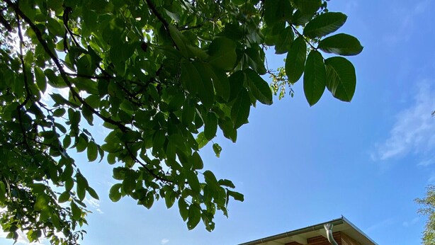 Une maison moderne en bois, dotée d’un patio couvert, d’un petit jardin et surplombant un ciel d’un bleu éclatant.