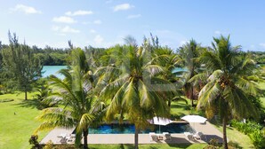Zona de piscina con sillas de descanso y una palmera.