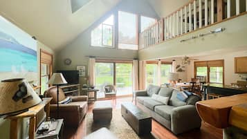 Smart TV, fireplace, books