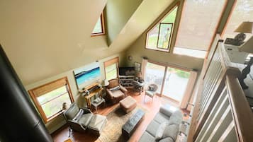 Smart TV, fireplace, books