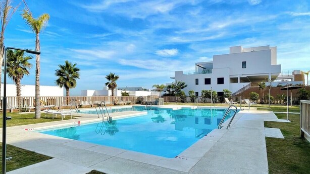 Une piscine, un ciel bleu dégagé, des palmiers et, au loin, un bâtiment moderne.