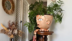 A hallway with a large potted plant, a decorative vase, and a wall-mounted light fixture. - Pousada Capim Limão (Diamantina)