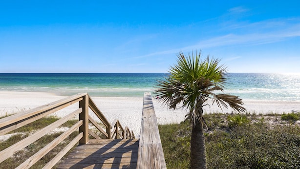 Een houten looppad dat naar een strand leidt met helderblauw water en een palmboom.
