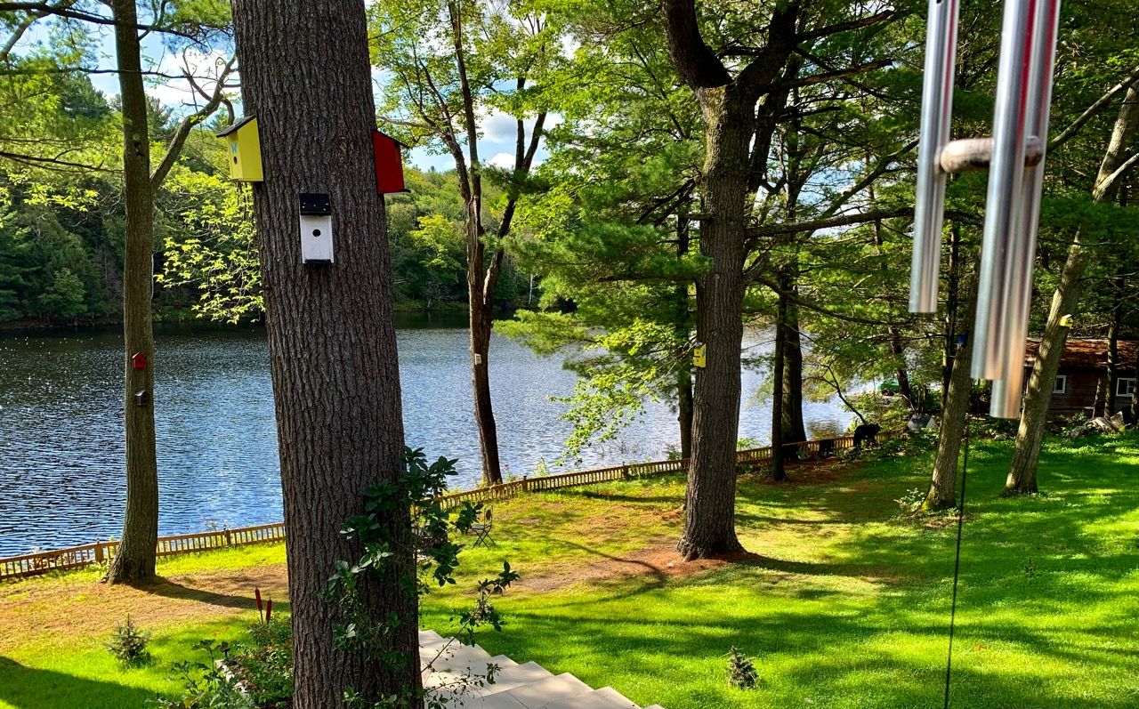 Un parc avec un lac, des arbres et une terrasse en bois.