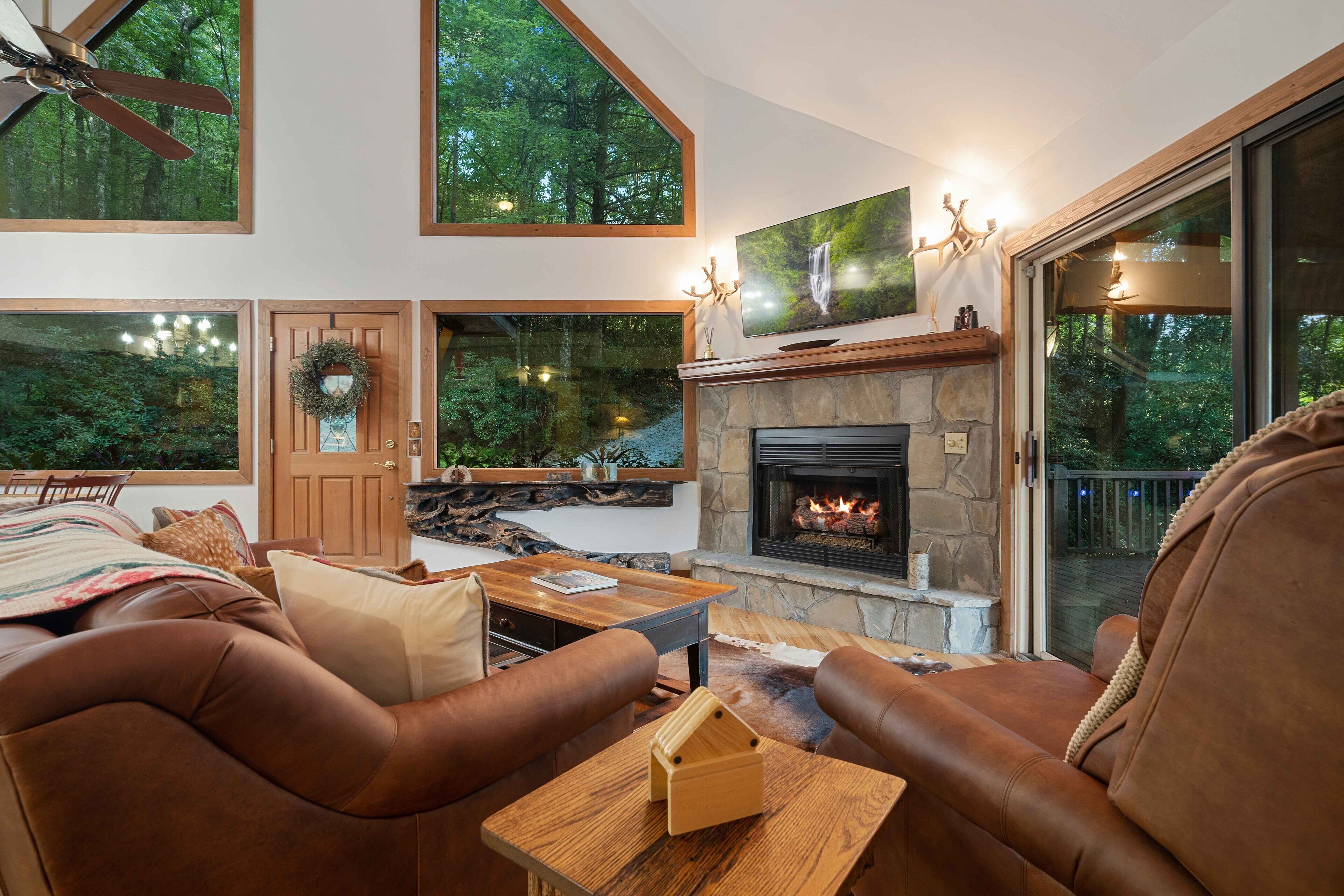 Smart TV, fireplace, books