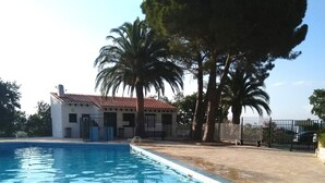 Una piscina con borde de azulejos, un patio de piedra, un edificio pequeño con techo de tejas rojas y un árbol grande.