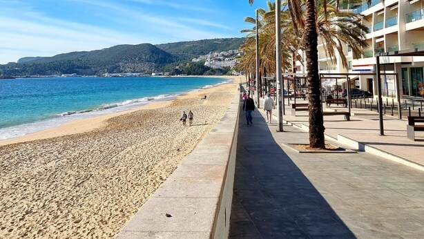 Una playa con arena, palmeras y un edificio con balcones que dan al mar.