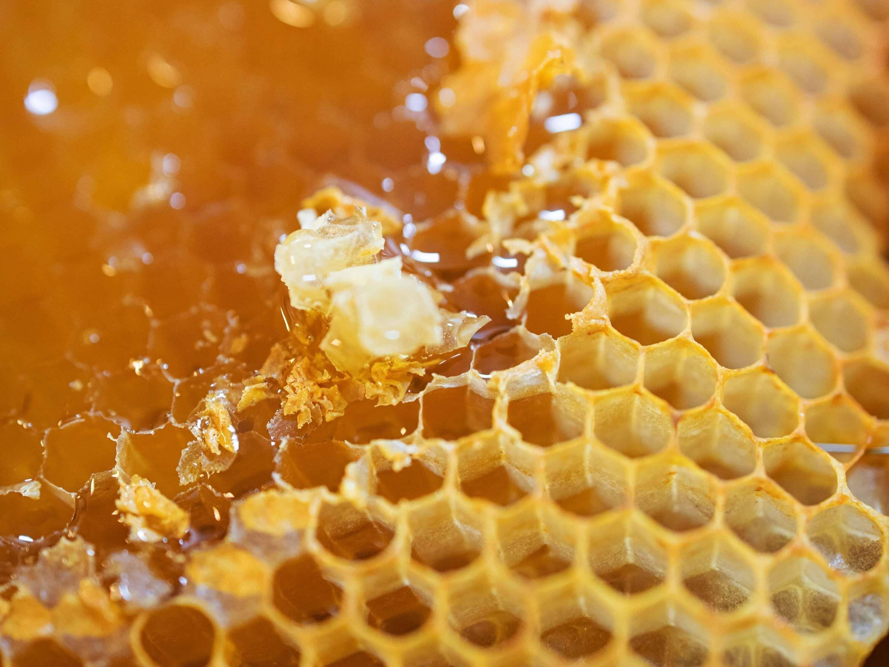 Foto - greet hotel Grenoble Centre Gare