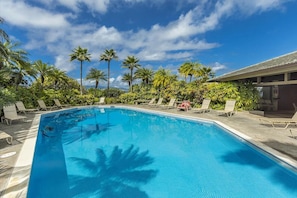 A swimming pool with lounge chairs and palm trees.