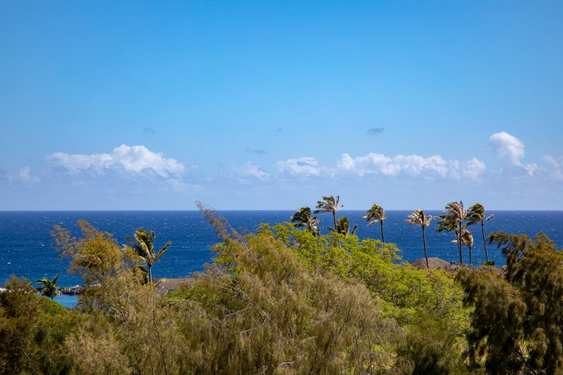 Un paysage côtier offrant une vue sur l’océan, avec des palmiers et une végétation luxuriante.
