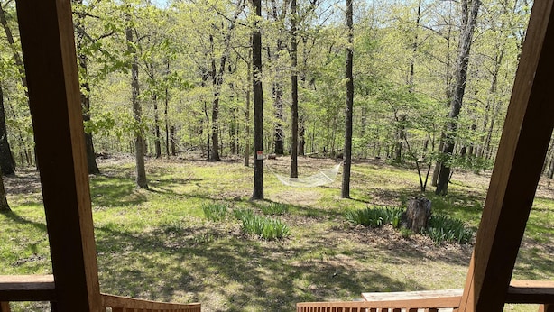 A wooden staircase leading into a forested area with a hammock and picnic table. - A place to unwind!! (Kansas)