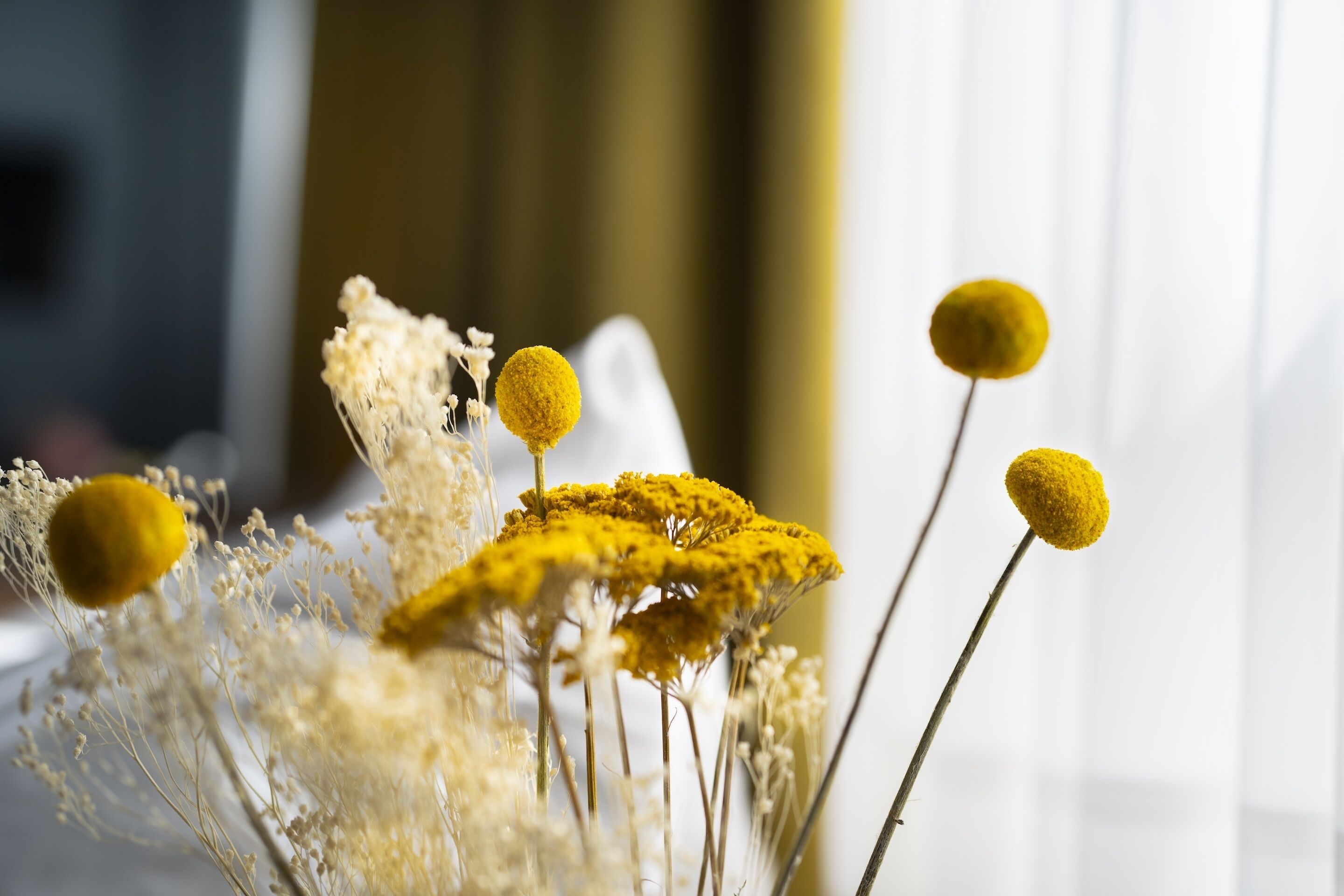 43-inch tv with cable channels, netflix, streaming services