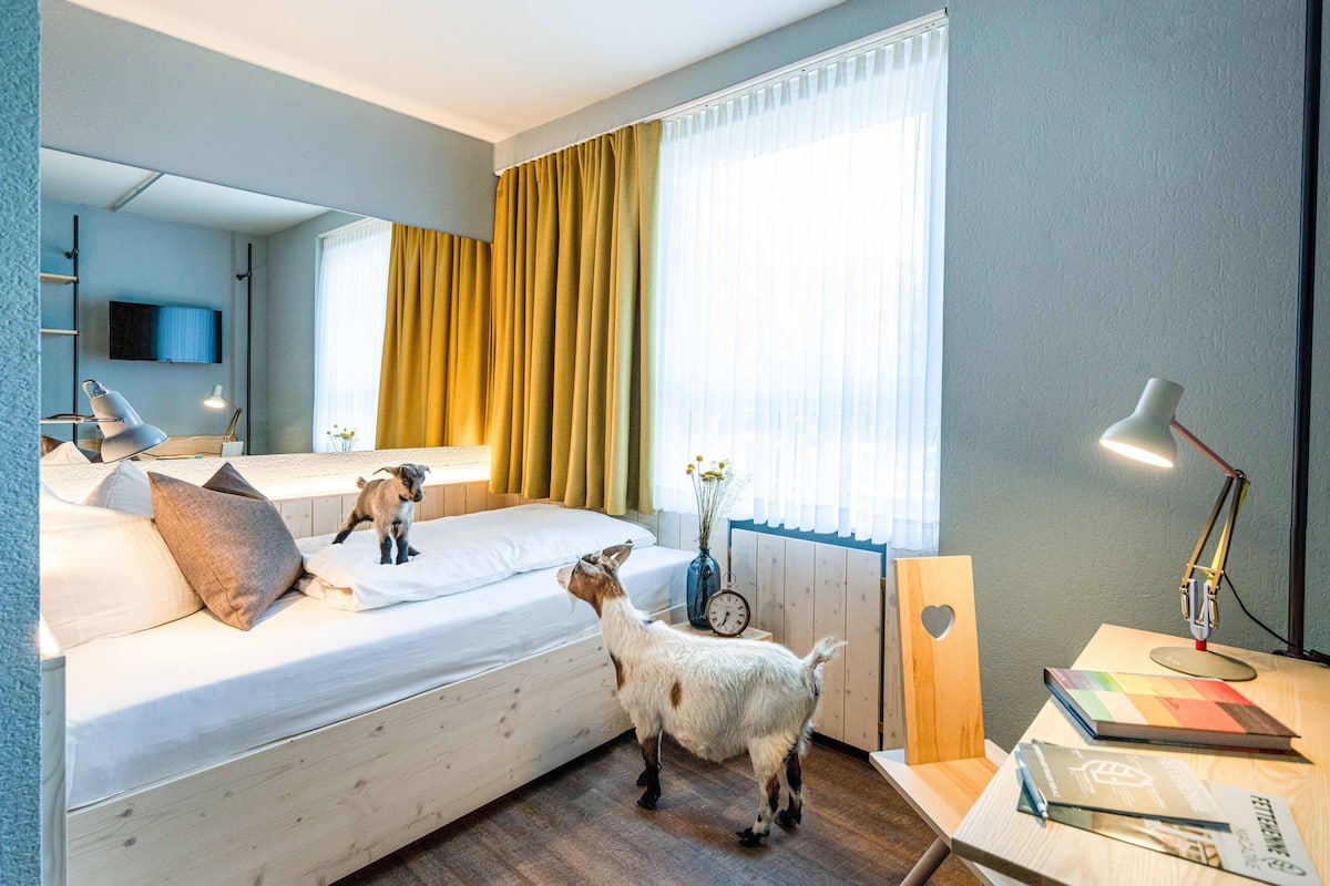 Quarto de hotel moderno com uma cama grande, uma escrivaninha, uma luminária e uma TV.