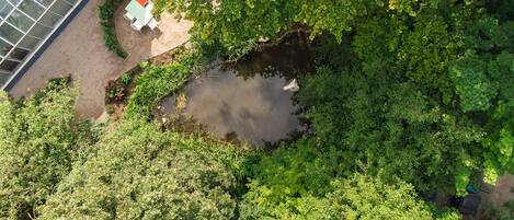 An aerial view of a courtyard with a pond, surrounded by dense greenery and a building with large windows.