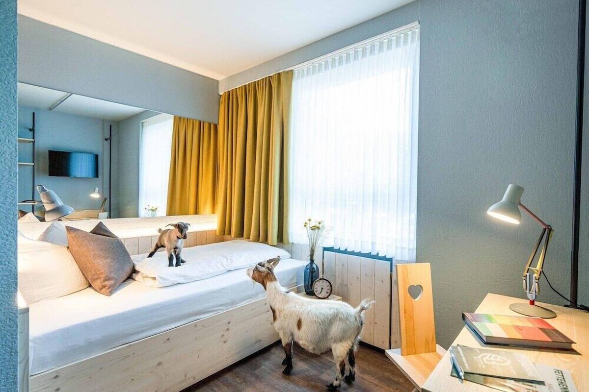 Quarto de hotel moderno com cama, mesa de cabeceira, abajur e pequena escrivaninha com cadeira.
