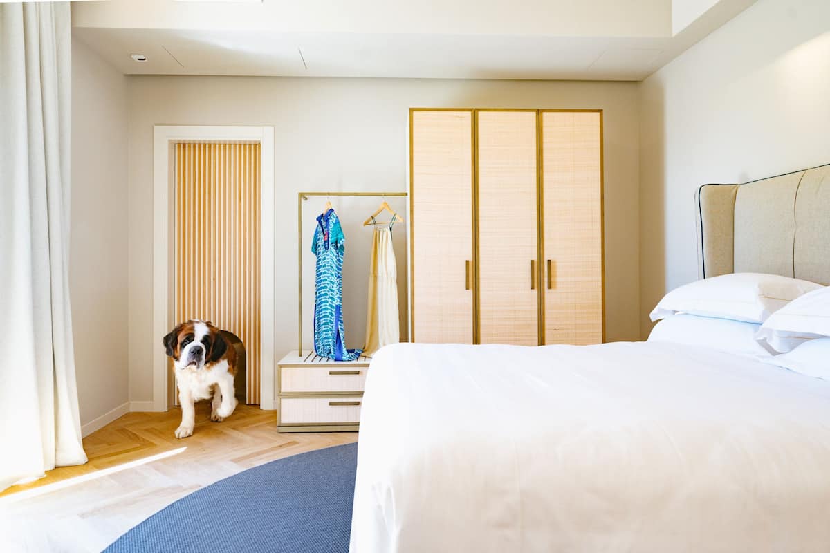 Una habitación de hotel con una cama, un armario, un espejo y un perro.