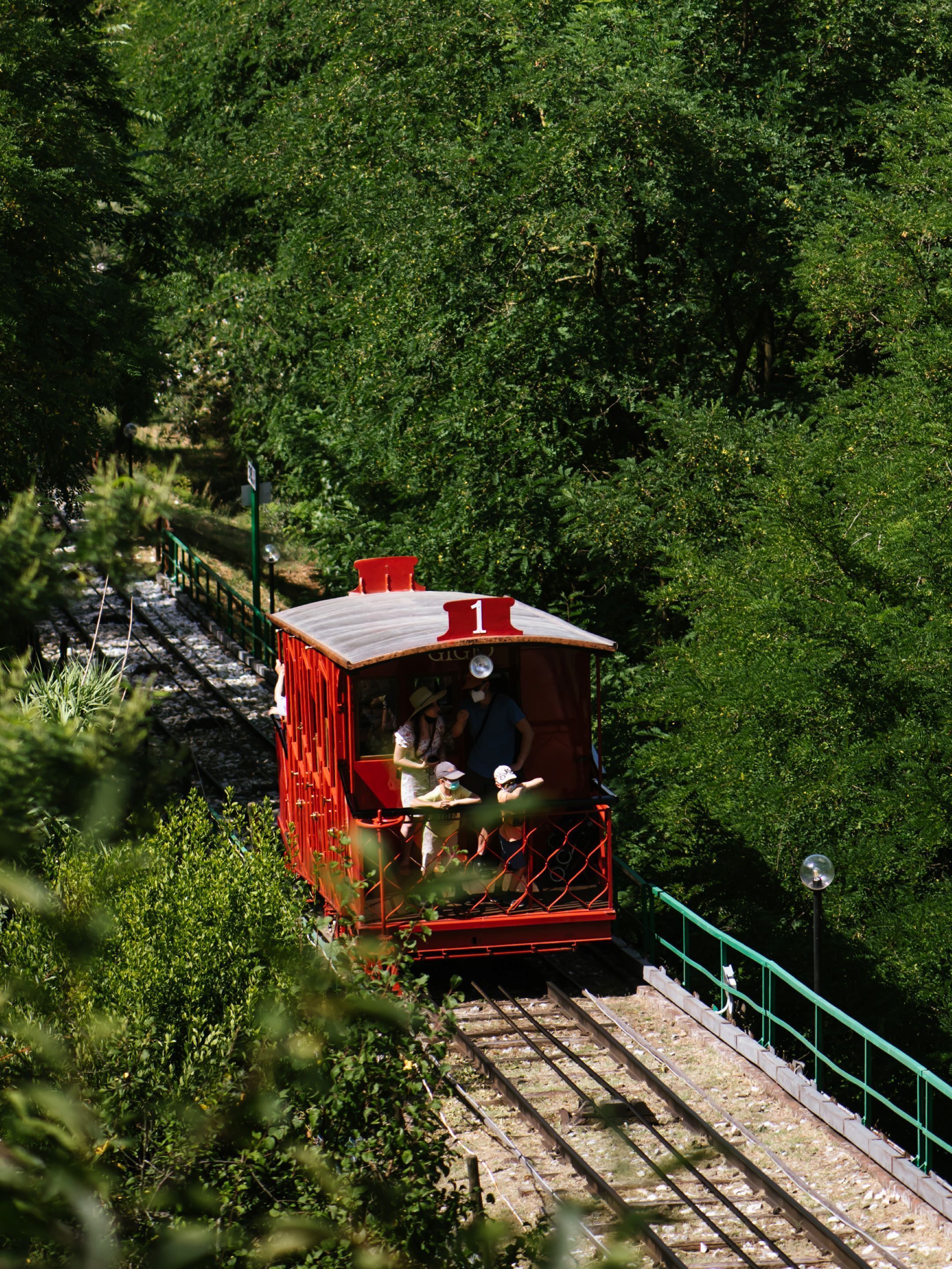 A red train car with a small platform, surrounded by dense greenery.