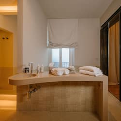 Soffione a pioggia, asciugacapelli, bidet, asciugamani