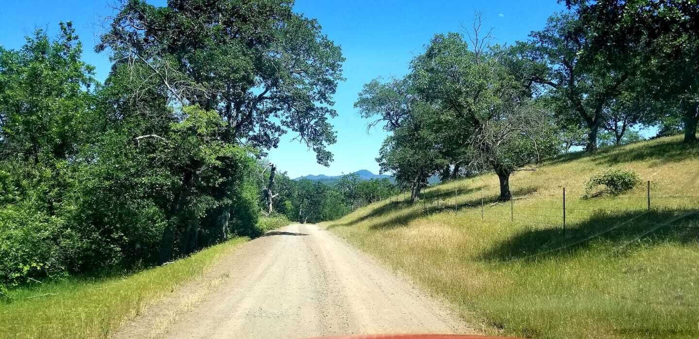 Un camino rural de tierra flanqueado por árboles y hierba, que lleva a colinas distantes.