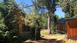 Una baita rustica con un vialetto in mattoni che conduce a un portico in legno, circondata da alberi fitti e un cielo sereno.
