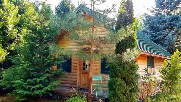 Una baita di legno con veranda, circondata da vegetazione fitta.