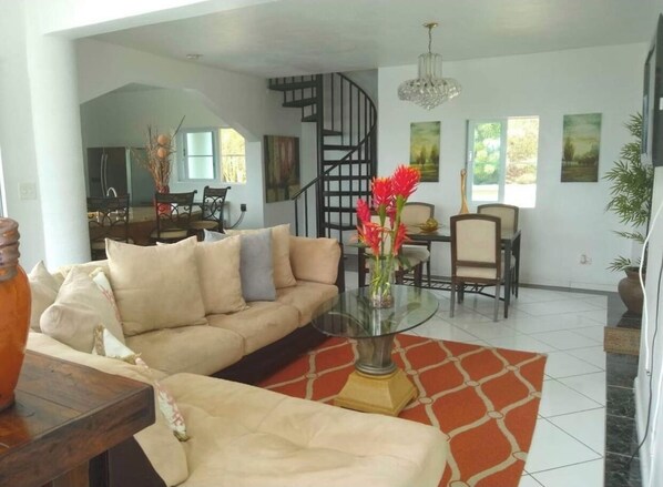 Smart TV, videojuegos, reproductor de DVD y libros 