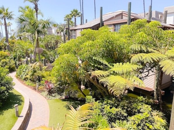 A lush garden with a curved pathway, palm trees, and dense foliage.