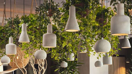 Senna House Hotel Scottsdale, Curio Collection by Hilton - Image 27